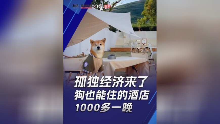 澳门今期开奖结果开奖记录查询表,何小鹏：明年计划量产飞行汽车,经典解释落实_开发版V13.86