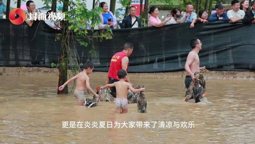 香港2025精准资料大全,对美加征关税是否会影响国内养殖业,多元化方案执行策略_极速版V6.25